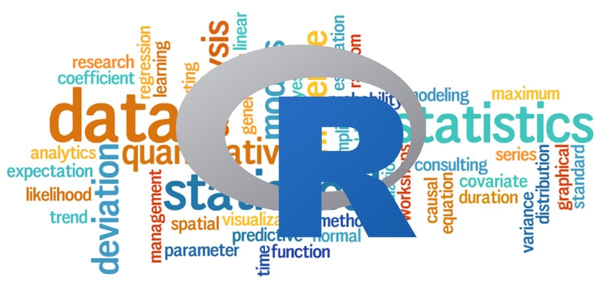 R Programming 